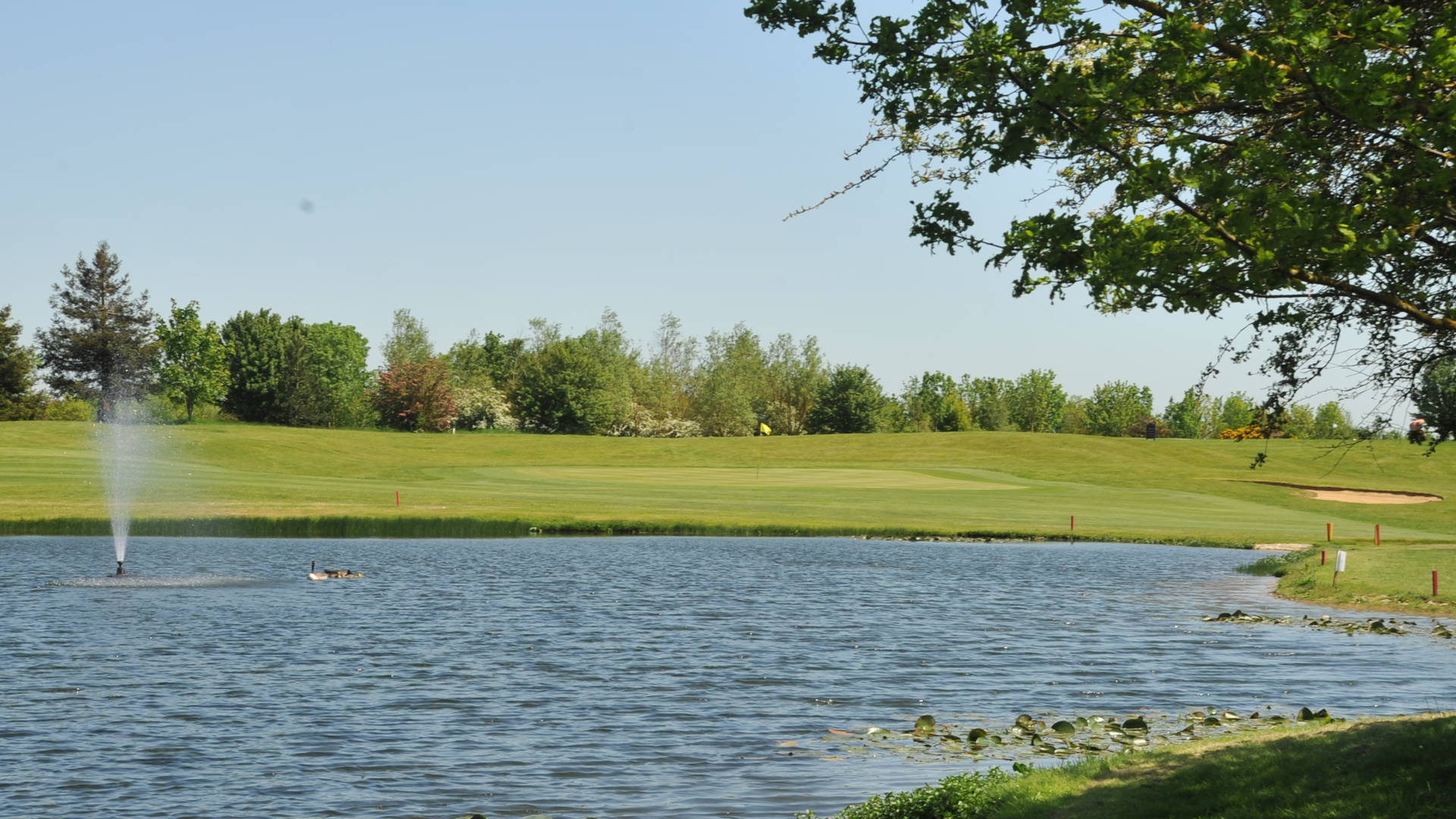 Course Information Image